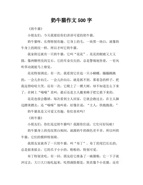 奶牛猫作文500字