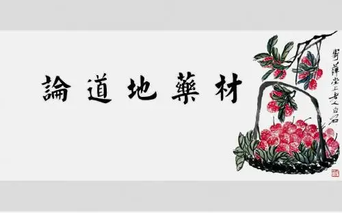论地道药材PPT幻灯片课件