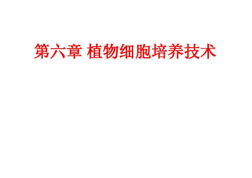 细胞工程课件 第六章 植物细胞培养
