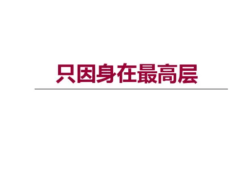 汤臣一品推广策略ppt