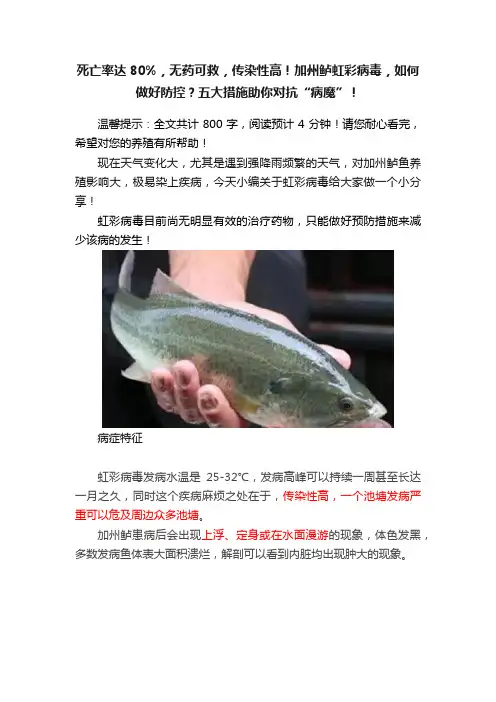 死亡率达80%，无药可救，传染性高！加州鲈虹彩病毒，如何做好防控？五大措施助你对抗“病魔”！