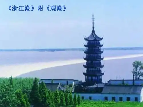 浙江潮ppt