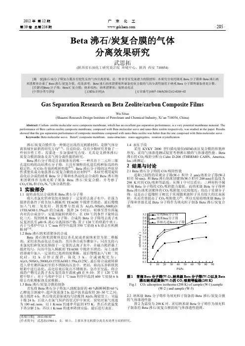 Beta沸石炭复合膜的气体分离效果
