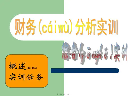 财务分析实训(精品PPT)