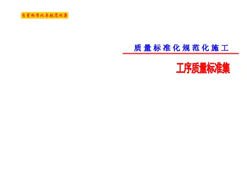 名企编制建筑工程施工质量标准化工序样板图集(a3版式77页 附图丰富)