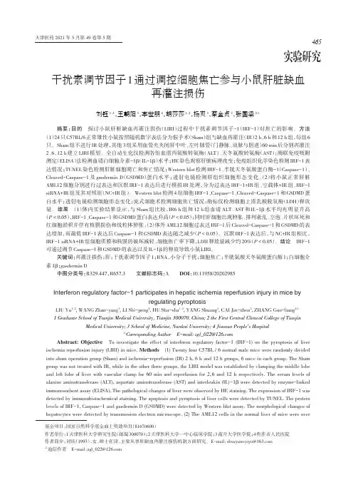干扰素调节因子1通过调控细胞焦亡参与小鼠肝脏缺血再灌注损伤