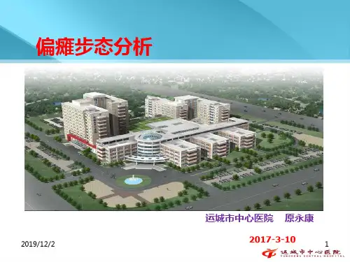 偏瘫步态分析与训练 讲义PPT课件