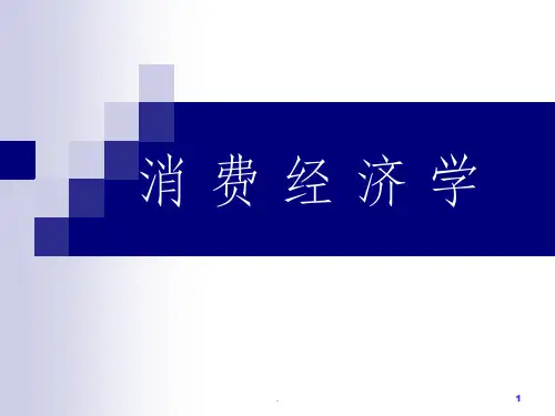 消费经济学ppt课件