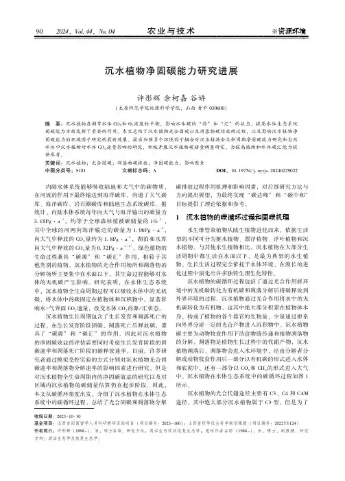 沉水植物净固碳能力研究进展