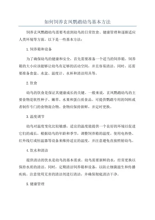 如何饲养玄凤鹦鹉幼鸟基本方法
