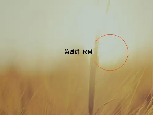 2018版高考英语一轮复习课件：语法：第四讲 代词 精品