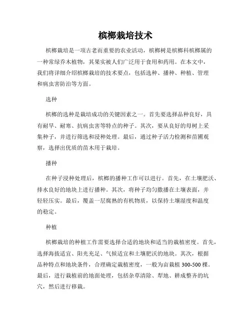 槟榔栽培技术