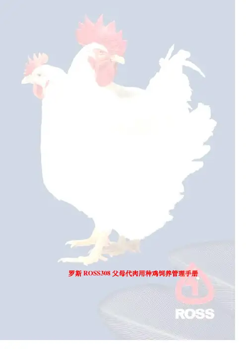 罗斯ross308父母代饲养管理手册
