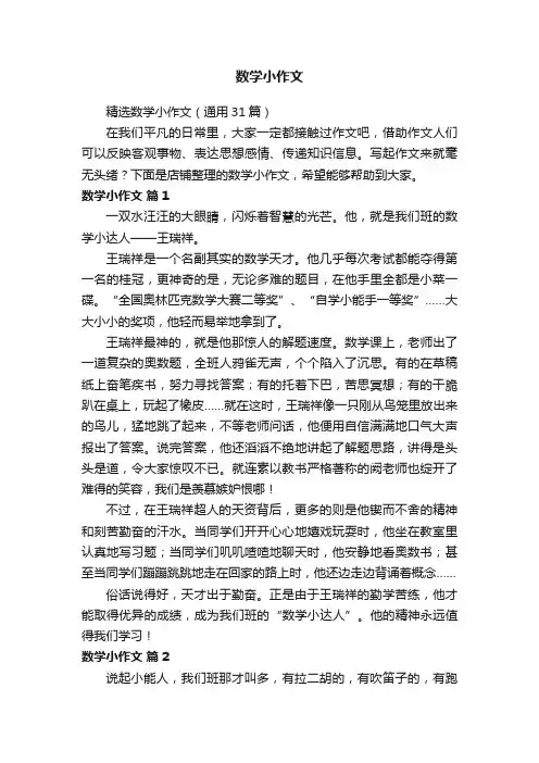 数学小作文