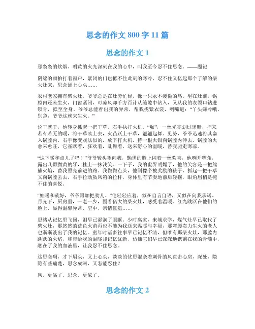 思念的作文800字11篇
