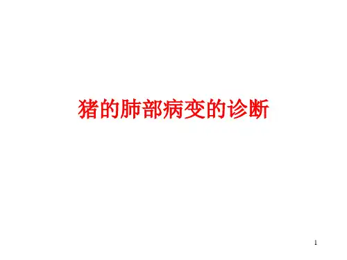 猪的肺部病变的诊断参考PPT