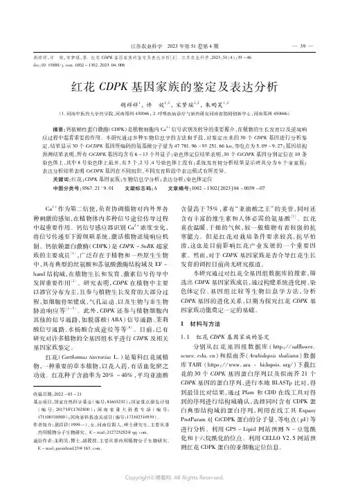 红花CDPK基因家族的鉴定及表达分析