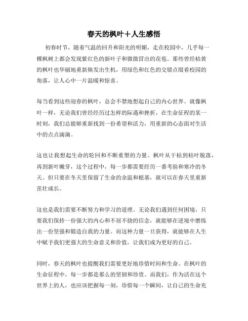 春天的枫叶+人生感悟