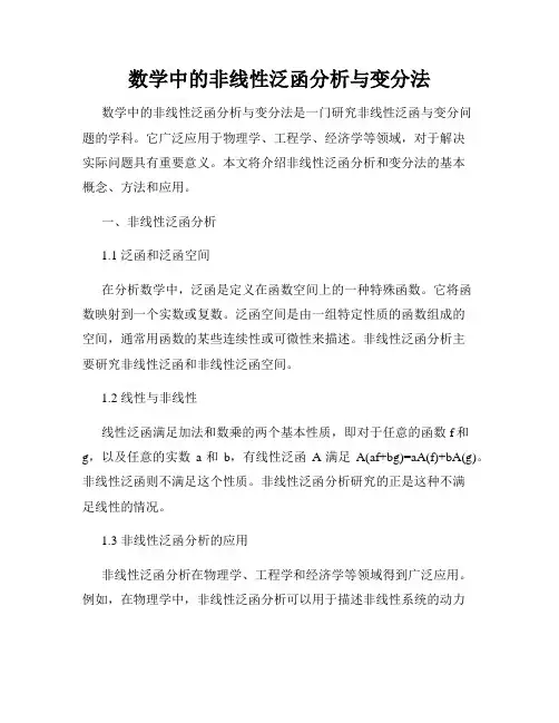 数学中的非线性泛函分析与变分法