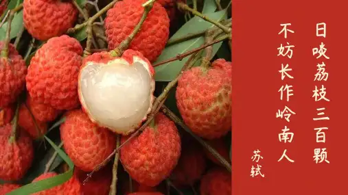 贾祖璋《南州六月荔枝丹》最新PPT 优质课 课件