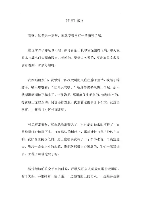 《冬雨》散文