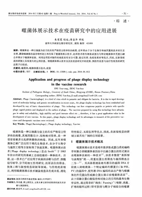 噬菌体展示技术在疫苗研究中的应用进展