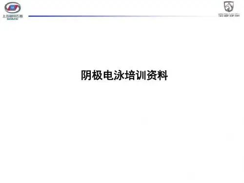 电泳培训资料