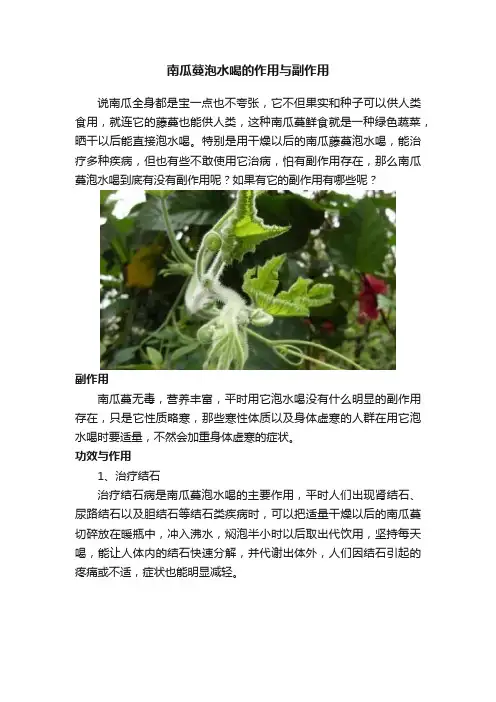 南瓜蔓泡水喝的作用与副作用