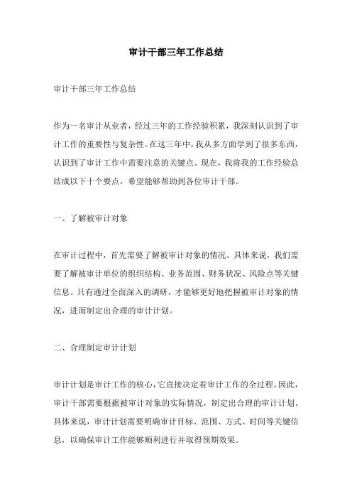审计干部三年工作总结