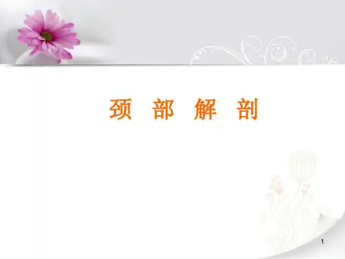 颈部肌肉、神经、血管详解PPT精选课件