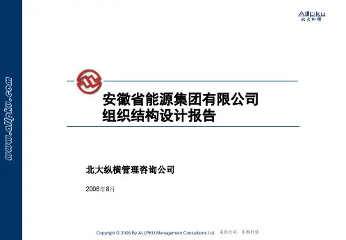 510-安徽省能源集团有限公司组织结构设计报告PPT