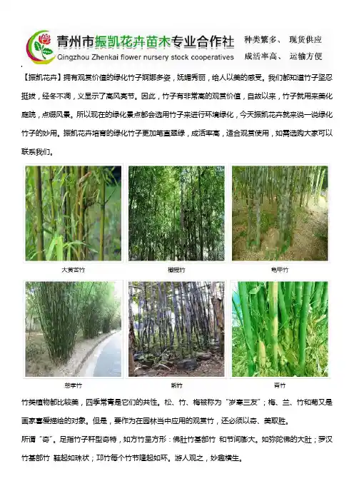 园林景观内的绿化竹子如何应用