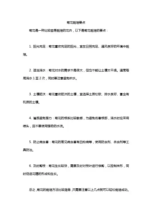 菊花栽培要点