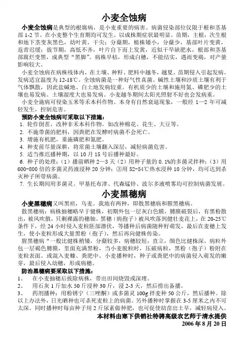 小麦全蚀病
