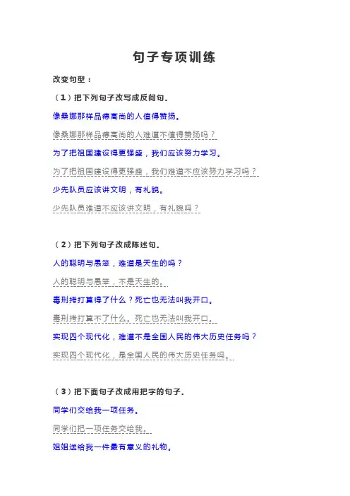 小学语文毕业班句子专项训练含复习资料