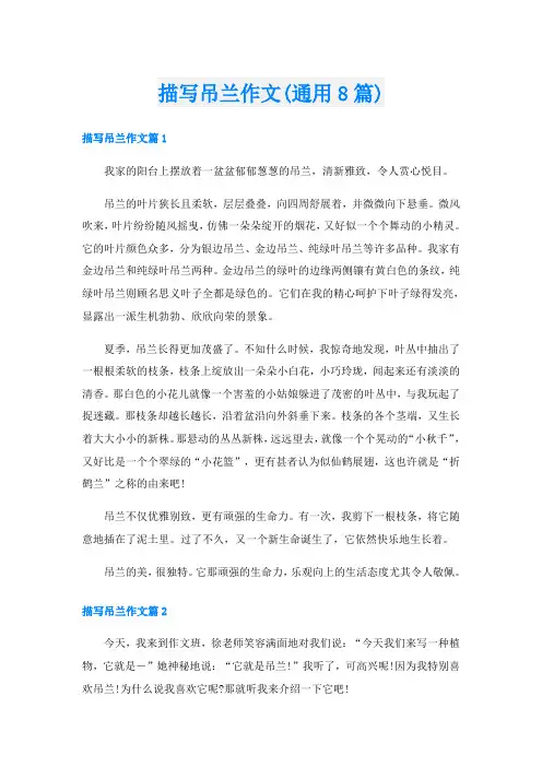 描写吊兰作文(通用8篇)