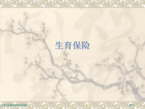 生育社会保险的概念培训课件