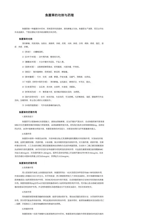 鱼腥草的功效与药理