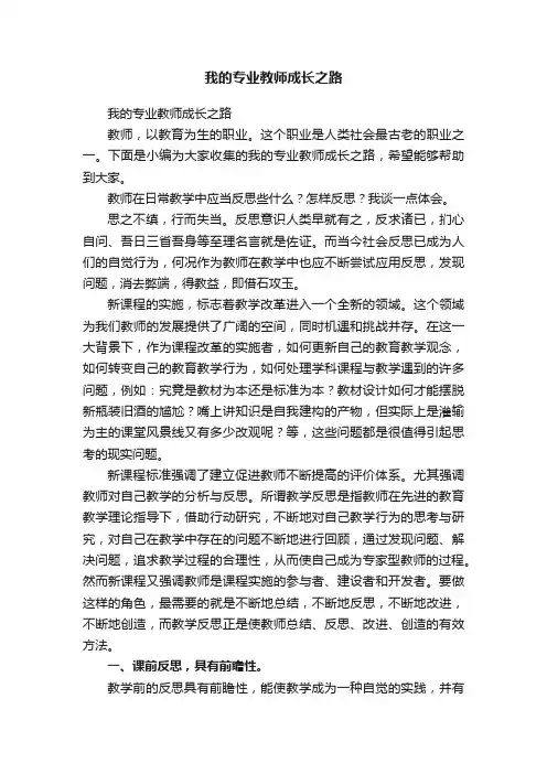 我的专业教师成长之路