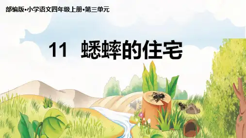 11 蟋蟀的住宅 课件(共20张PPT)