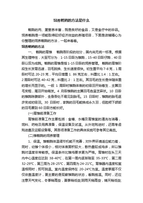 饲养鹌鹑的方法是什么