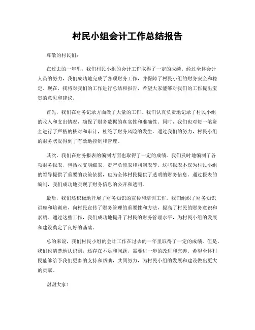 村民小组会计工作总结报告