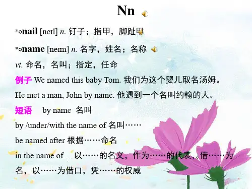 3500词汇课件—N