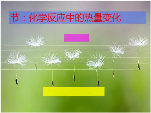 化学反应中的热量变化PPT课件5