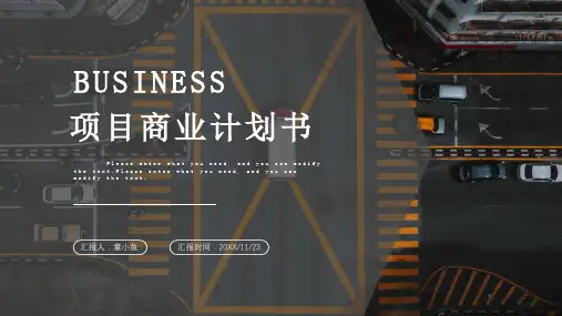 项目商业计划书PPT(完整版)