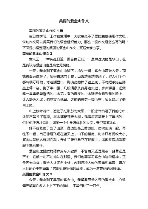 美丽的紫金山作文4篇