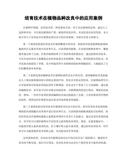 培育技术在植物品种改良中的应用案例