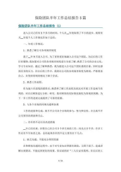 保险团队半年工作总结报告5篇
