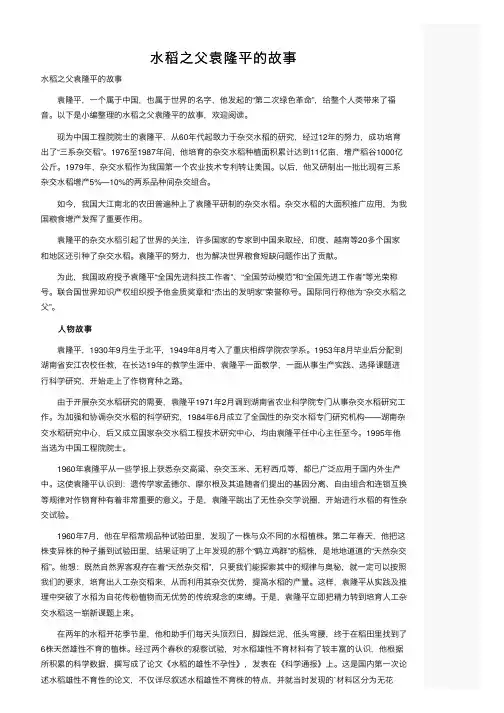 水稻之父袁隆平的故事