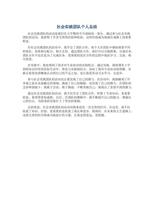 社会实践团队个人总结